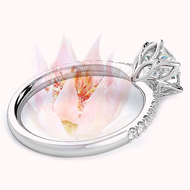 Cape Fynbos Diamond White Gold Engagement Rings
