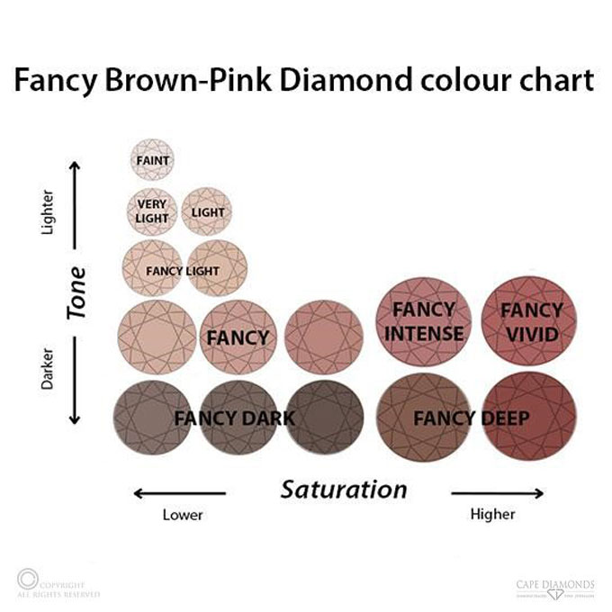 Fancy Brown-Pink