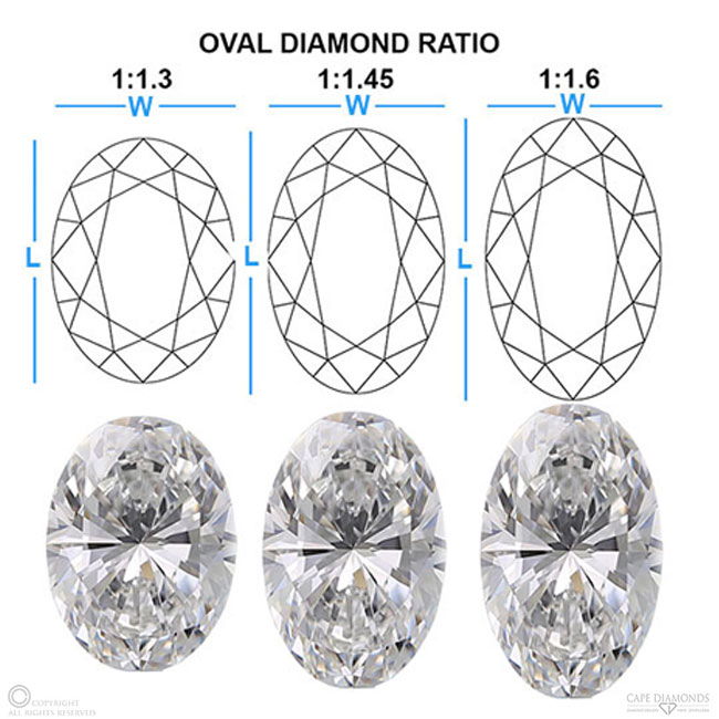 The Length to Width Ratio