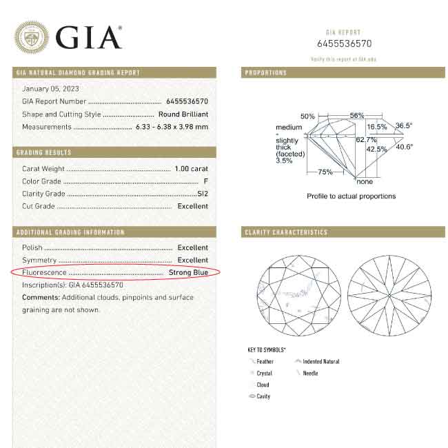 Why is Fluorescence Important?