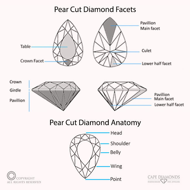 Pear-Cut Diamond Anatomy & Facets