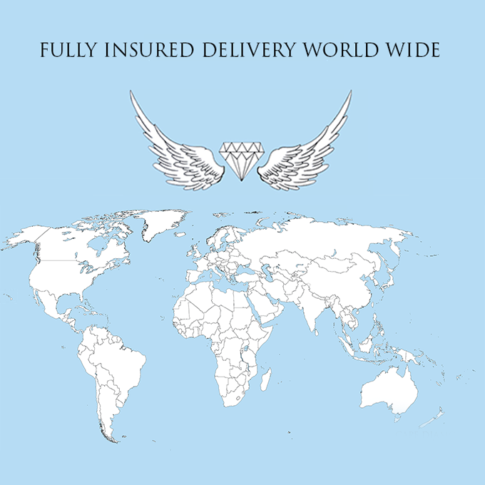 Delivery in South Africa