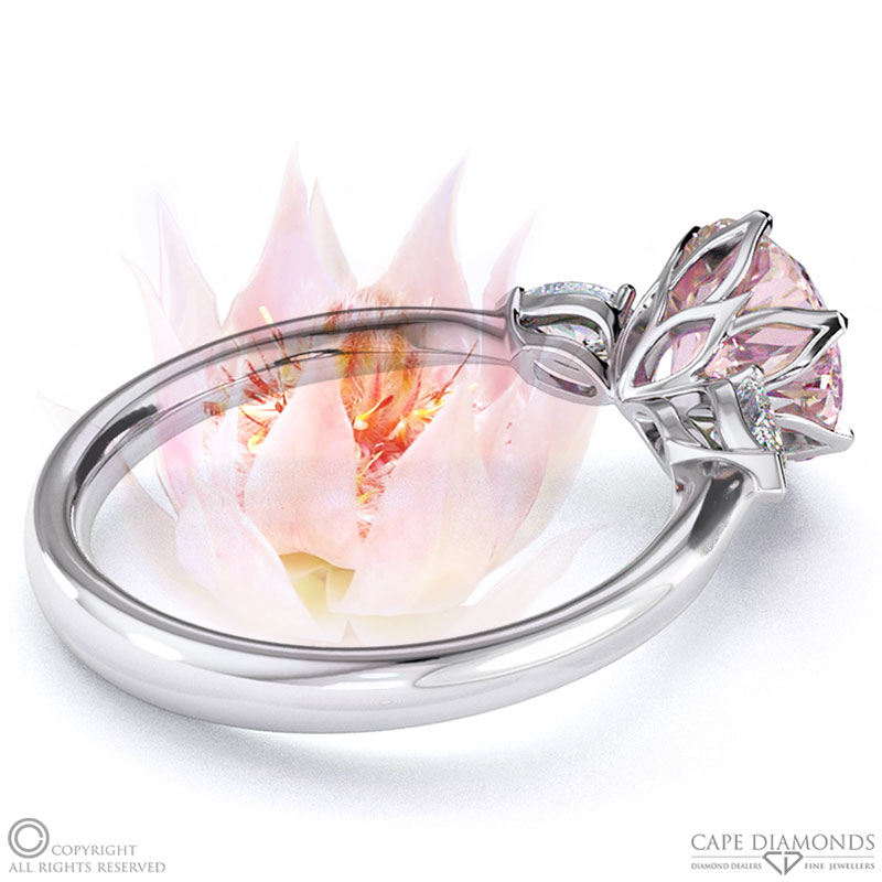 Blushing Bride Fynbos Morganite Round Trillogy Engagement Ring White Gold