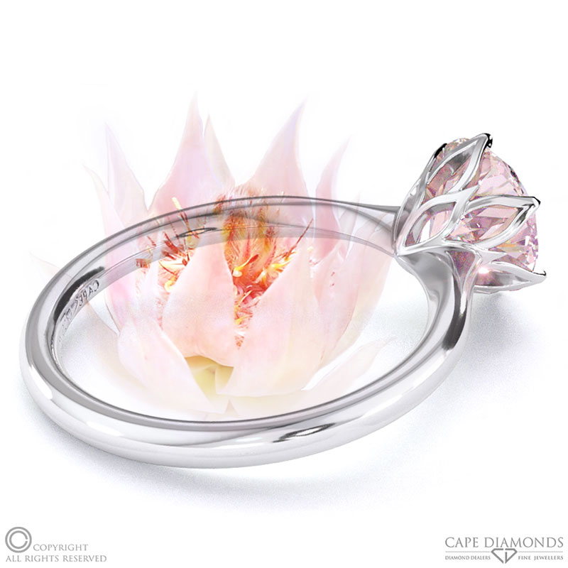 Blushing Bride Fynbos Morganite Round Solitaire Engagement Ring White Gold