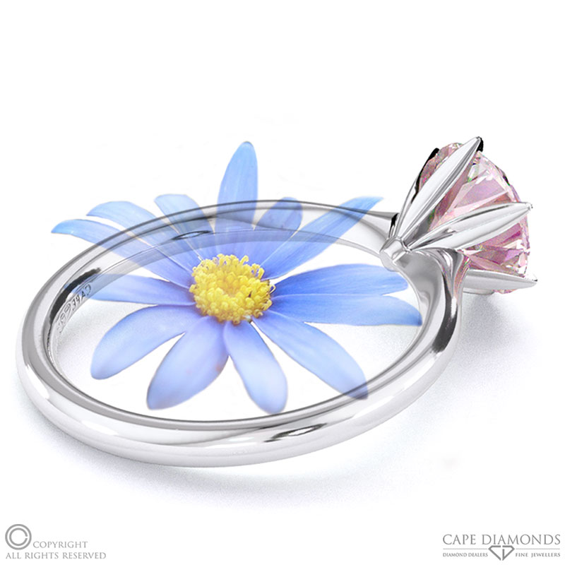 Darling Daisy Fynbos Morganite Solitaire Engagement Ring White Gold