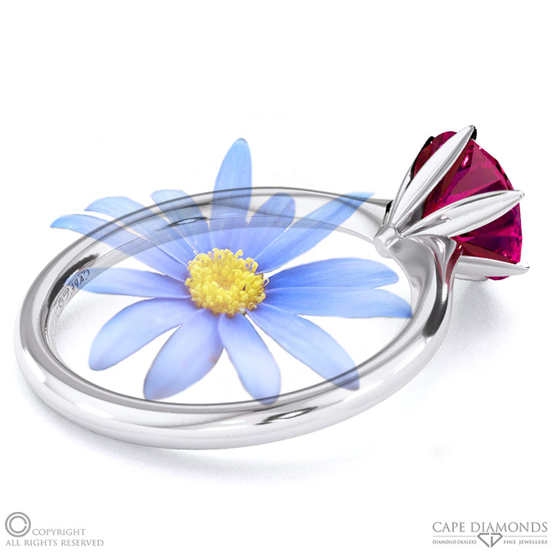 Darling Daisy Fynbos Ruby Solitaire Engagement Ring White Gold