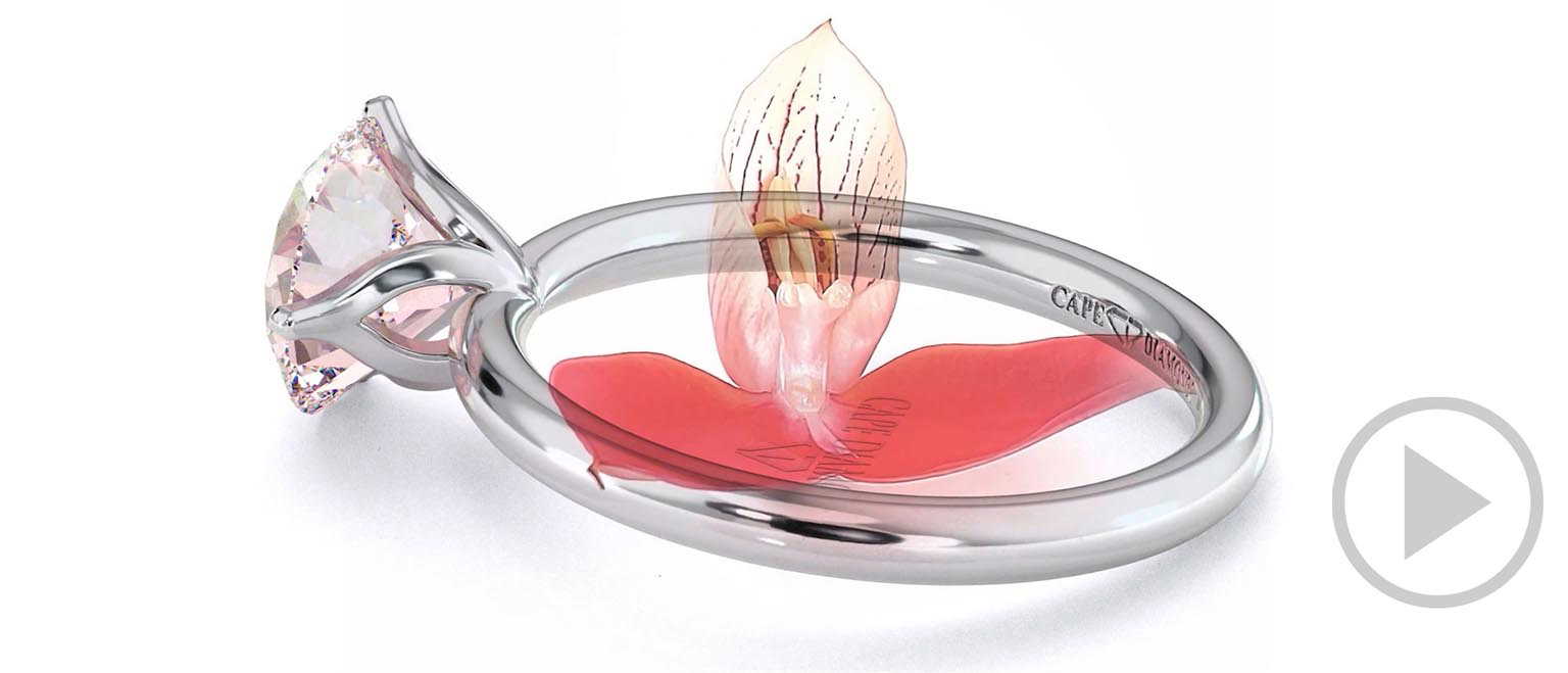 Disa Orchid Fynbos Pink Natural Diamond Solitaire Engagement Ring White Gold top video