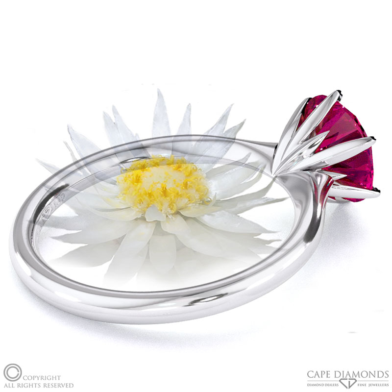Everlasting Flower Fynbos Ruby Round Solitaire Engagement Ring White Gold