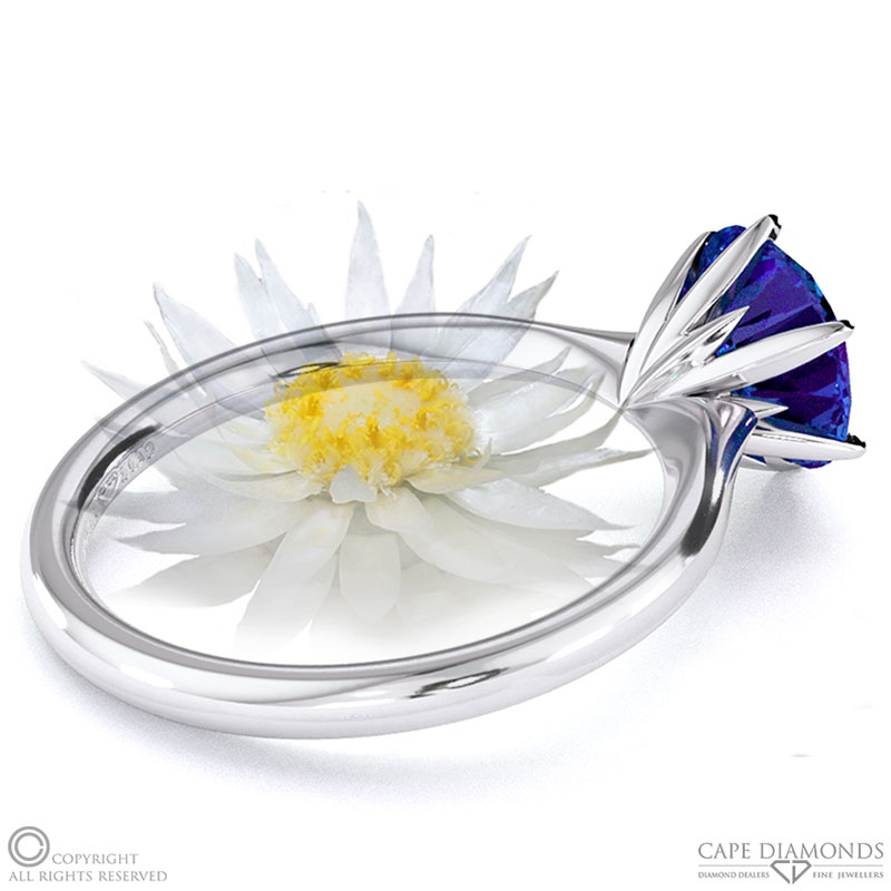 Everlasting Flower Fynbos Tanzanite Round Solitaire Engagement Ring White Gold