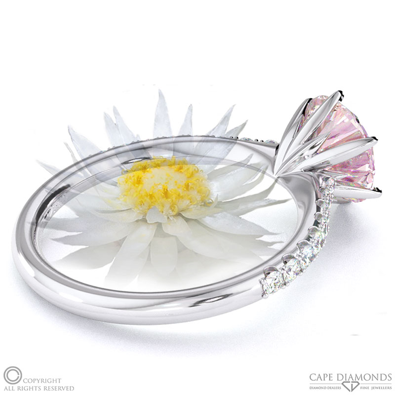 Everlasting Flower Fynbos Morganite Side Stone Engagement Ring White Gold