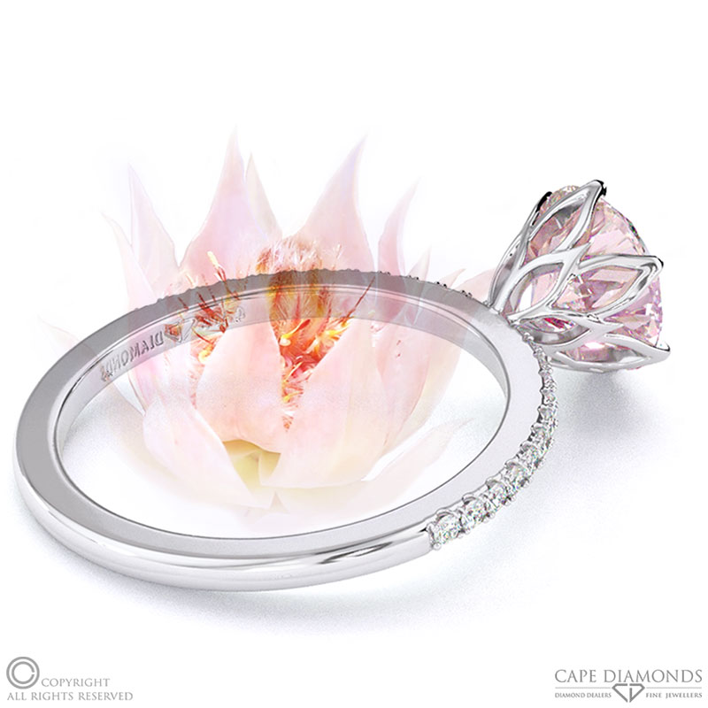 Blushing Bride Fynbos Morganite High Set Engagement Ring White Gold