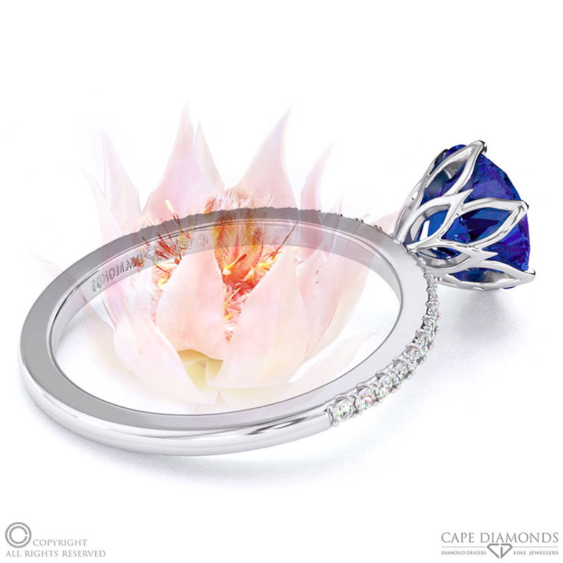 Blushing Bride Fynbos Tanzanite High Set Engagement Ring White Gold