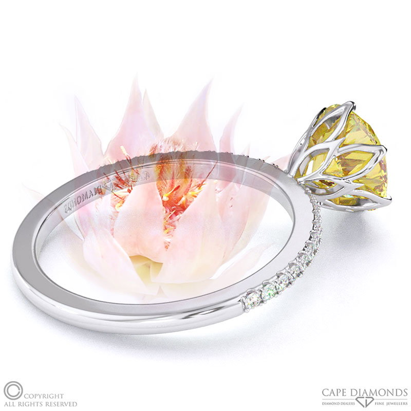 Blushing Bride Fynbos Yellow Natural Diamond High Set Engagement Ring White Gold