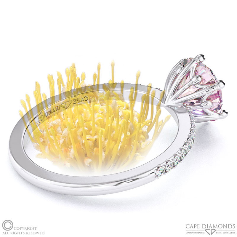 Pin Cushion Fynbos Flower Morganite Round Cut Engagement Ring White Gold