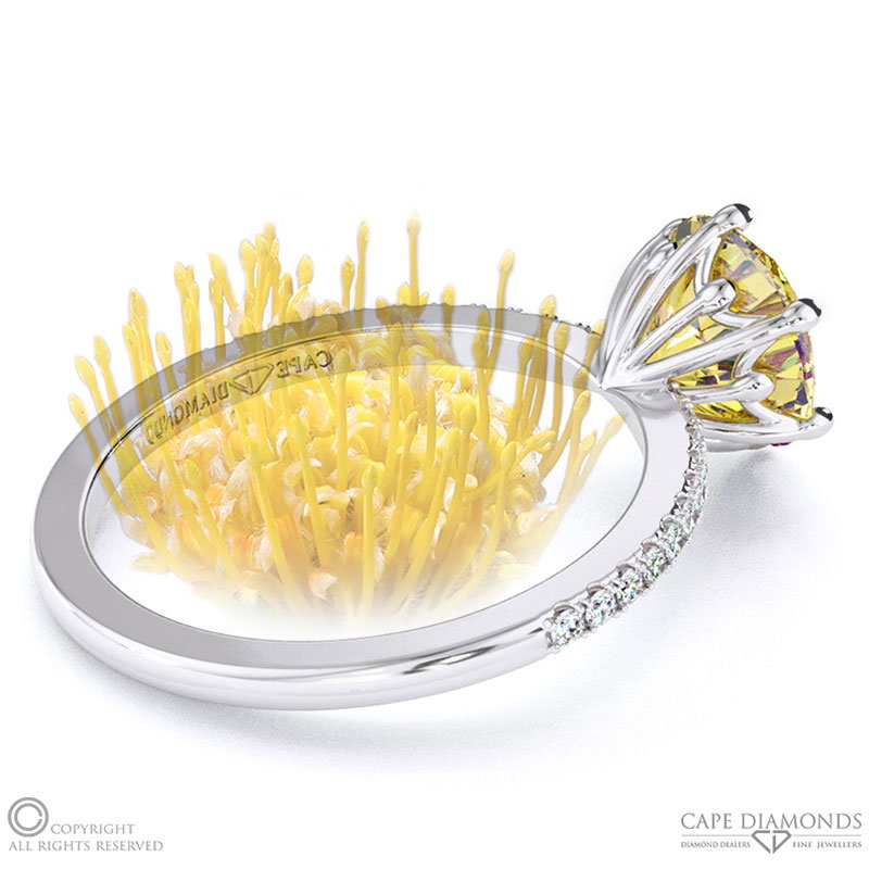 Pin Cushion Fynbos Flower Yellow Natural Diamond Round Cut Engagement Ring White Gold