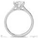 Moissanite Round 4-Claw Engagement Ring White Gold With Channel-Set Princess Cut S