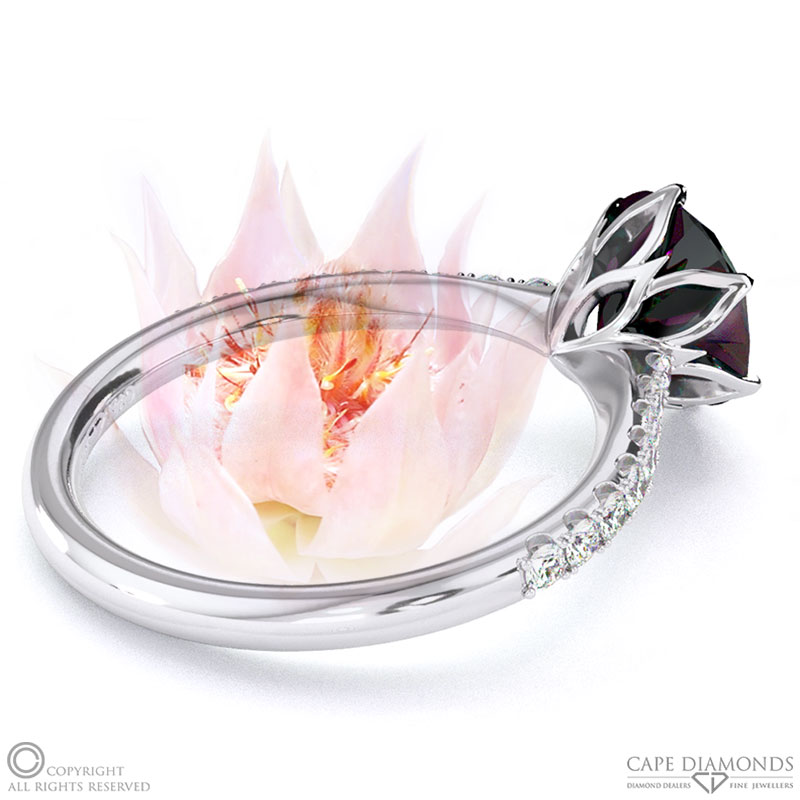 Blushing Bride Fynbos Black Lab Grown Diamond Round Side Stone Engagement Ring White Gold