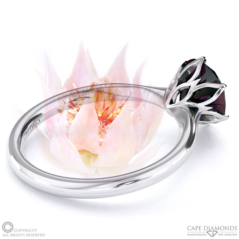 Blushing Bride Fynbos Black Lab Grown Diamond Round Solitaire Engagement Ring White Gold