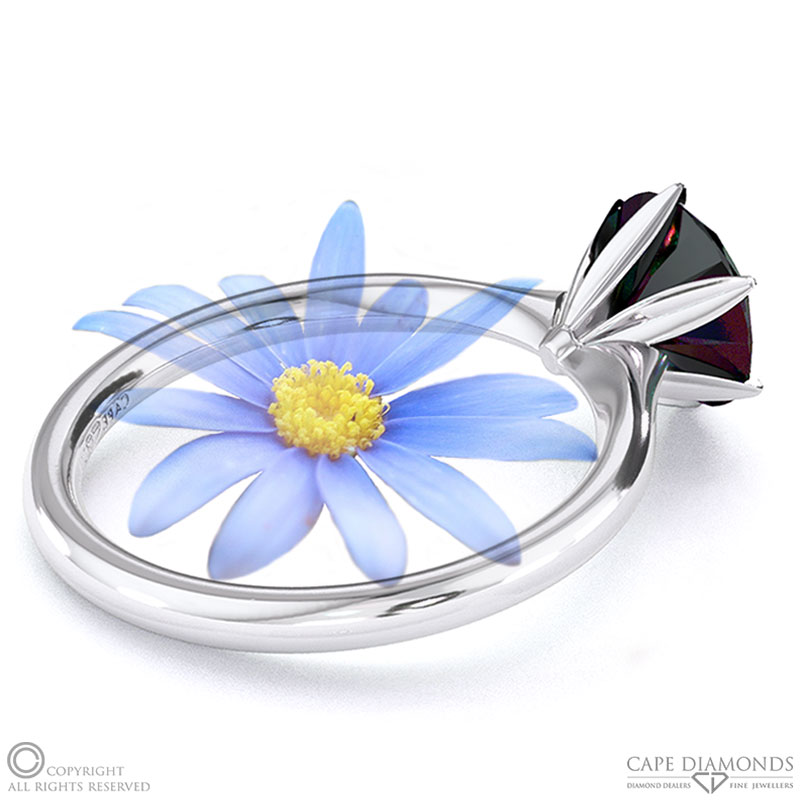 Darling Daisy Fynbos Black Lab Grown Diamond Solitaire Engagement Ring White Gold