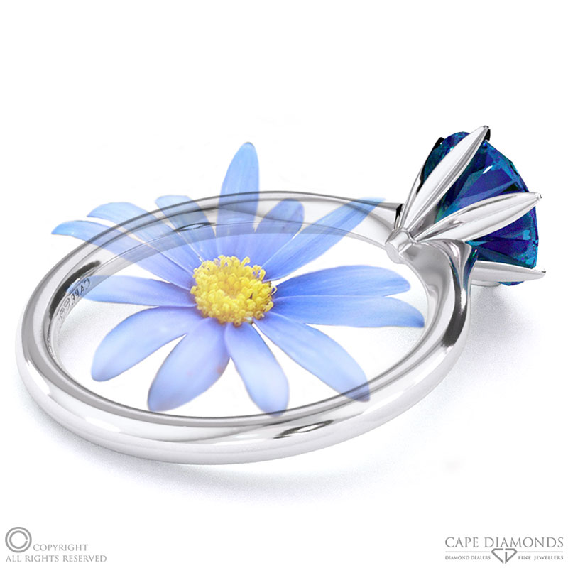 Darling Daisy Fynbos Sapphire Solitaire Engagement Ring White Gold