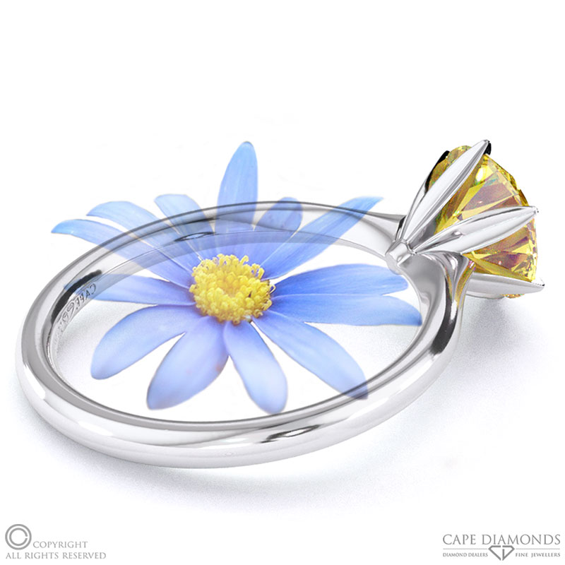 Darling Daisy Fynbos Yellow Natural Diamond Solitaire Engagement Ring White Gold