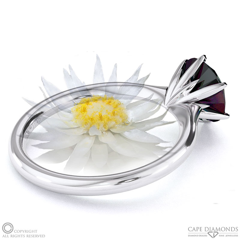 Everlasting Flower Fynbos Black Lab Grown Diamond Round Solitaire Engagement Ring White Gold