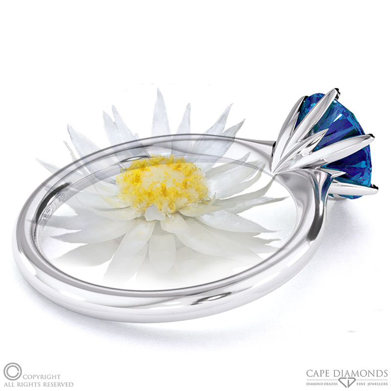 Everlasting Flower Fynbos Sapphire Round Solitaire Engagement Ring White Gold