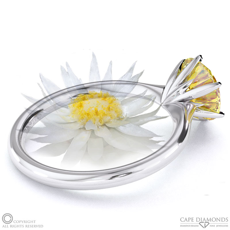 Everlasting Flower Fynbos Yellow Natural Diamond Round Solitaire Engagement Ring White Gold