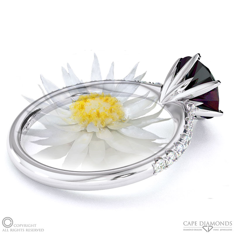 Everlasting Flower Fynbos Black Lab Grown Diamond Side Stone Engagement Ring White Gold