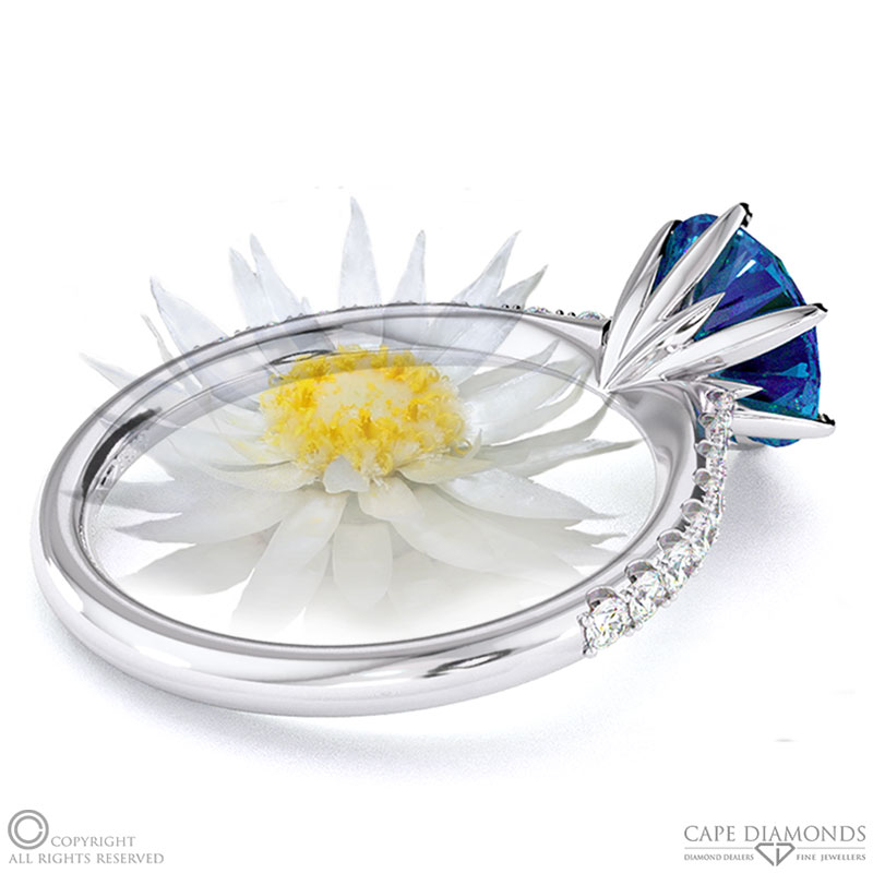 Everlasting Flower Fynbos Sapphire Side Stone Engagement Ring White Gold