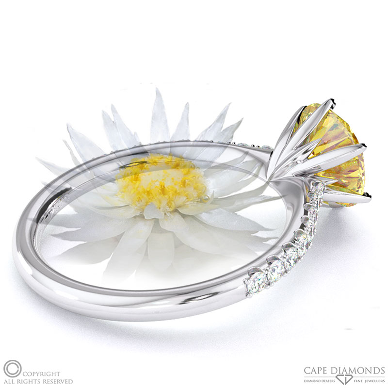 Everlasting Flower Fynbos Yellow Natural Diamond Side Stone Engagement Ring White Gold