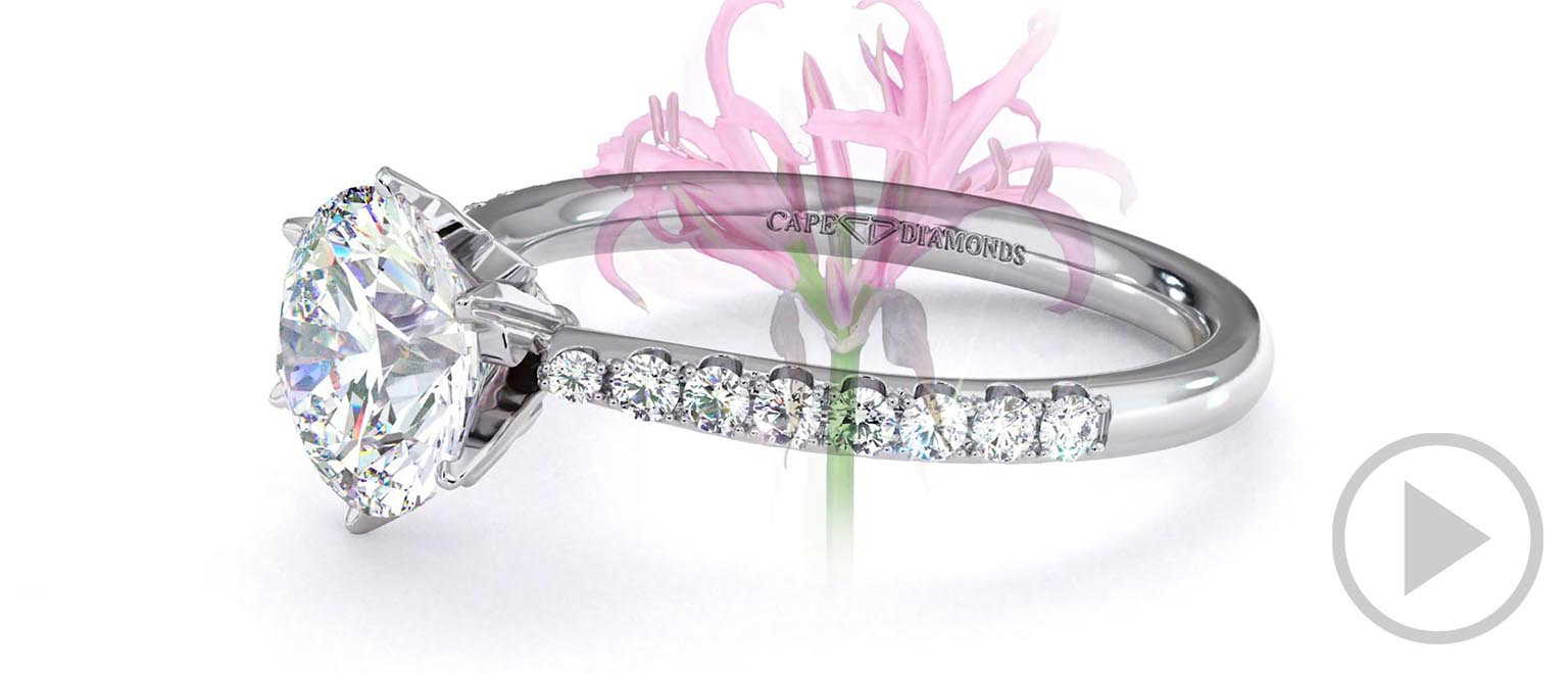 Nerine Pave Natural Diamond Engagement Ring Platinum top video