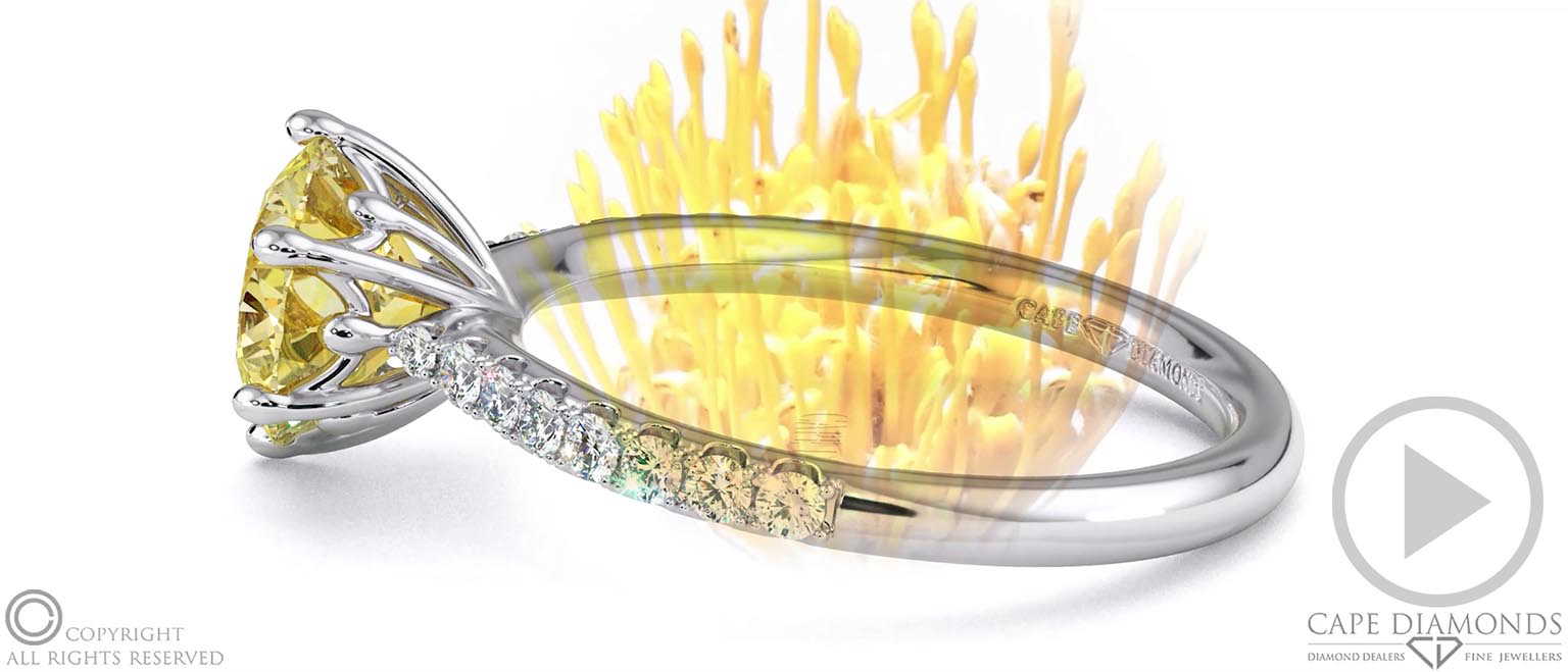 Pin Cushion Fynbos Yellow Natural Diamond Side Diamond Engagement Ring White Gold top video