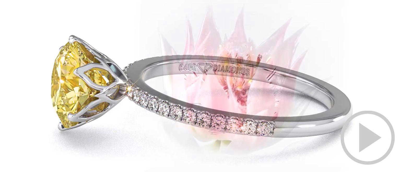 Blushing Bride Fynbos Yellow Lab Grown Diamond High Set Engagement Ring White Gold top video
