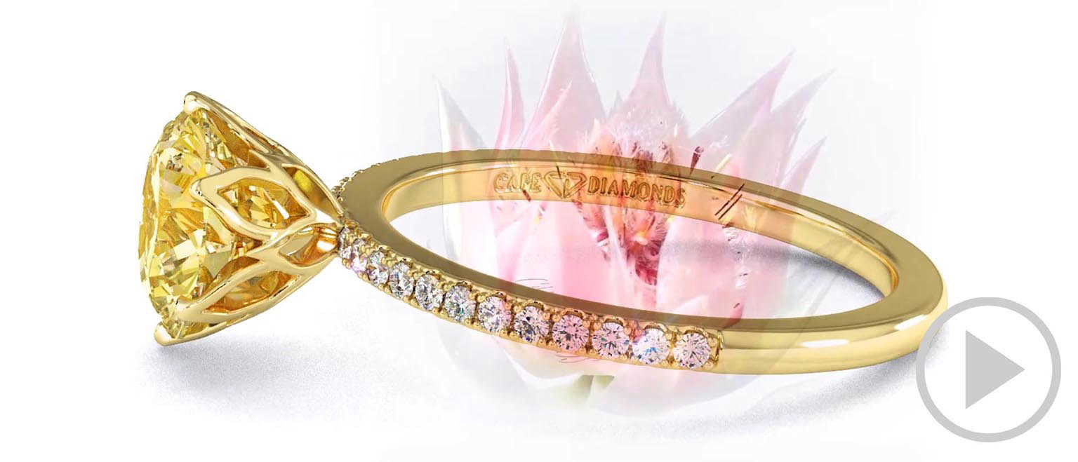 Blushing Bride Fynbos Yellow Lab Grown Diamond High Set Engagement Ring Yellow Gold top video