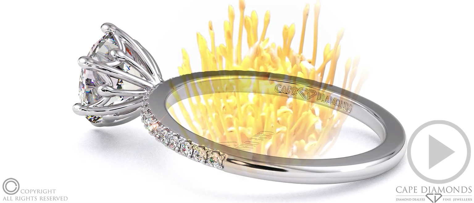Fynbos Pincushion Flower Raised Setting On Petit Lab Grown Diamond Pavé Thin Squared Band top video