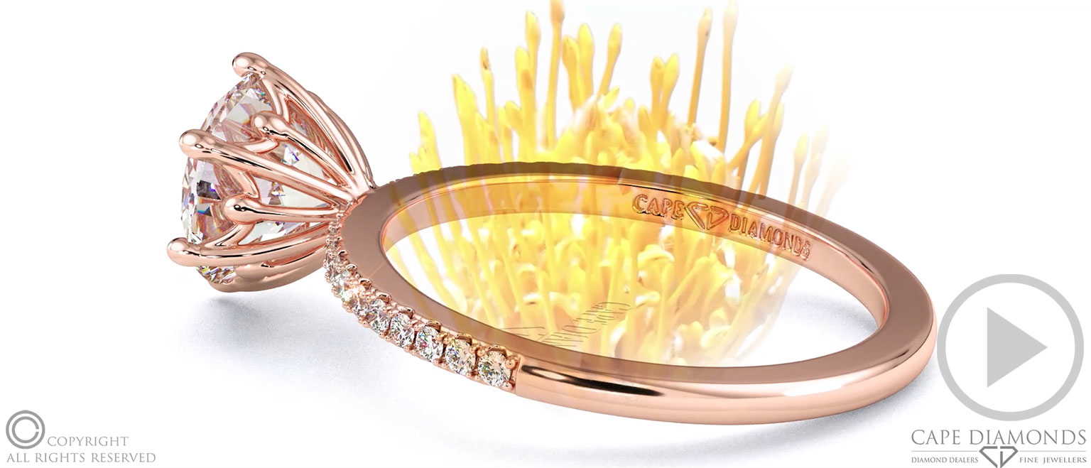 Fynbos Pincushion Flower Raised Setting On Petit Lab Grown Diamond Pavé Thin Squared Band top video