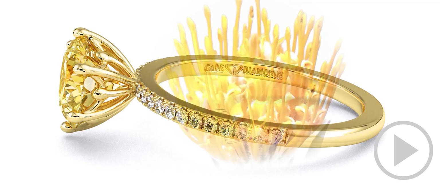 Pincushion Fynbos Flower High Set Engagement Ring Yellow Gold top video