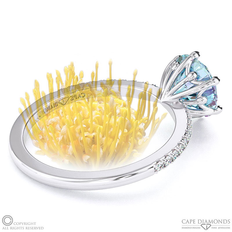 Pin Cushion Fynbos Flower Aquamarine Round Cut Engagement Ring White Gold
