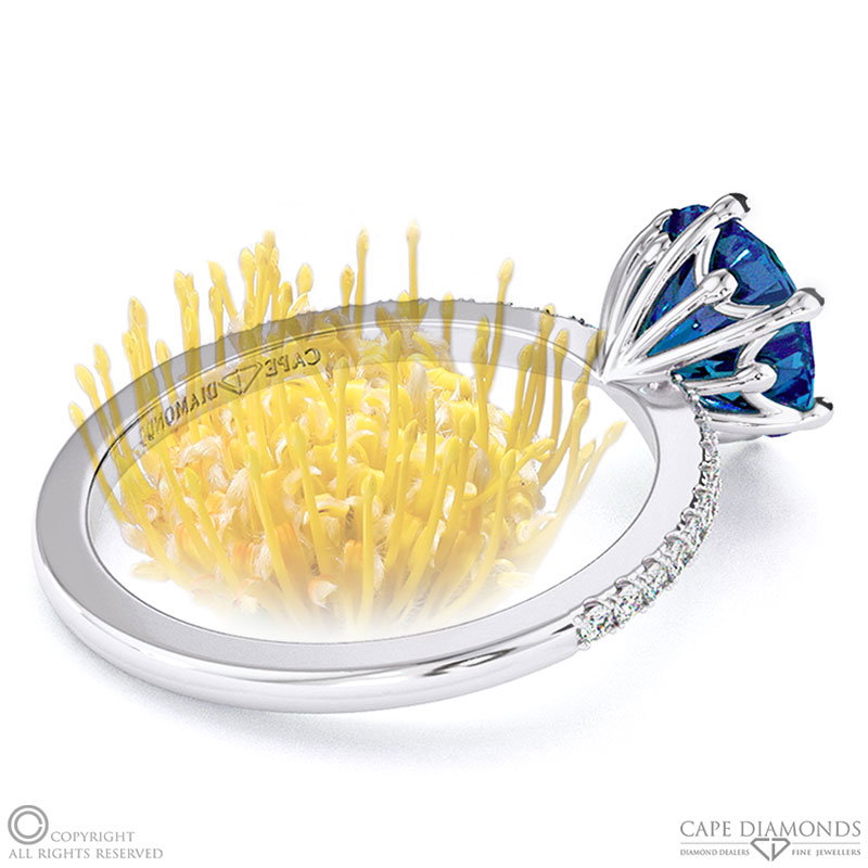 Pin Cushion Fynbos Flower Sapphire Round Cut Engagement Ring White Gold
