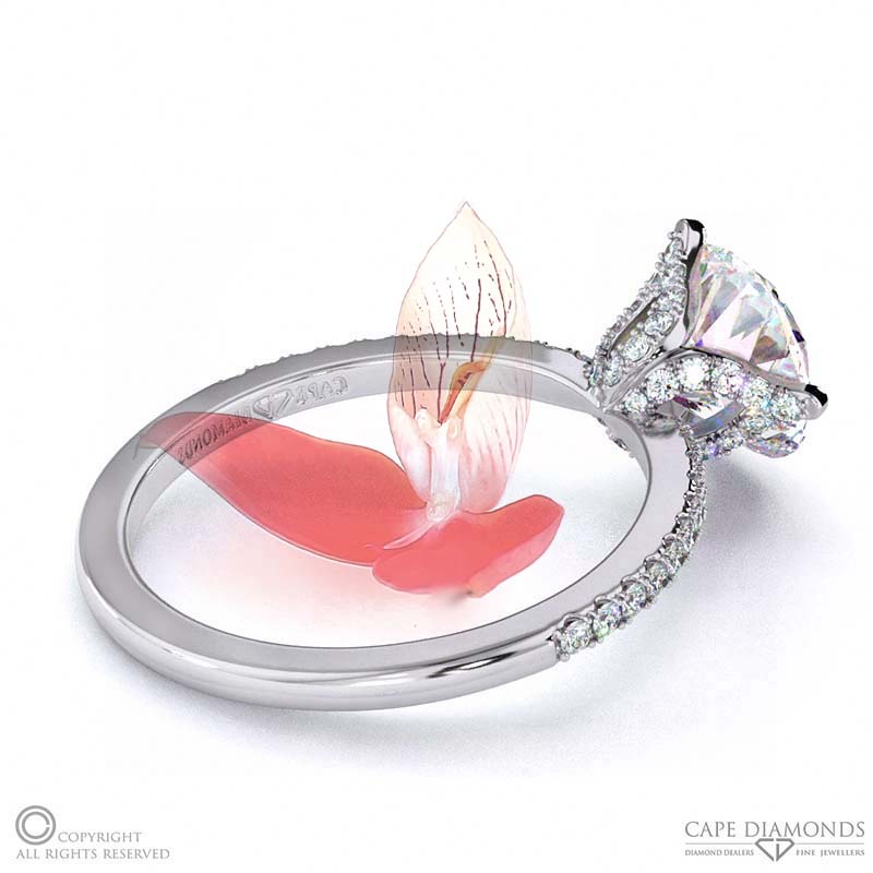 Low-Set Natural Diamond Disa Orchid Engagement Ring White Gold On Fine Band With Pavé Side Natural Diamonds