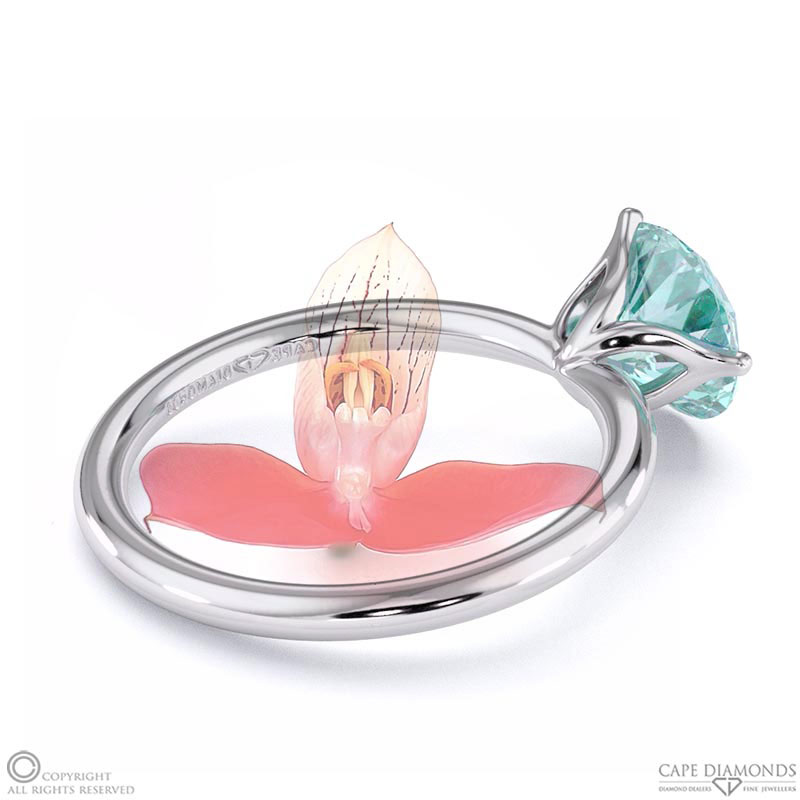 Disa Orchid Fynbos Aquamarine Solitaire Engagement Ring White Gold