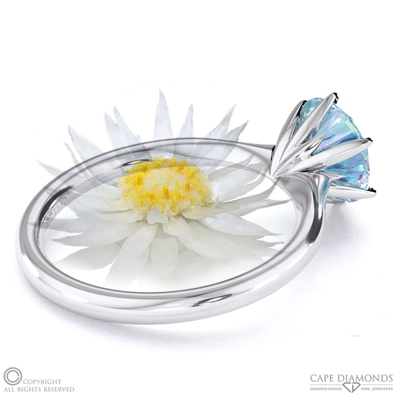 Everlasting Flower Fynbos Aquamarine Round Solitaire Engagement Ring White Gold