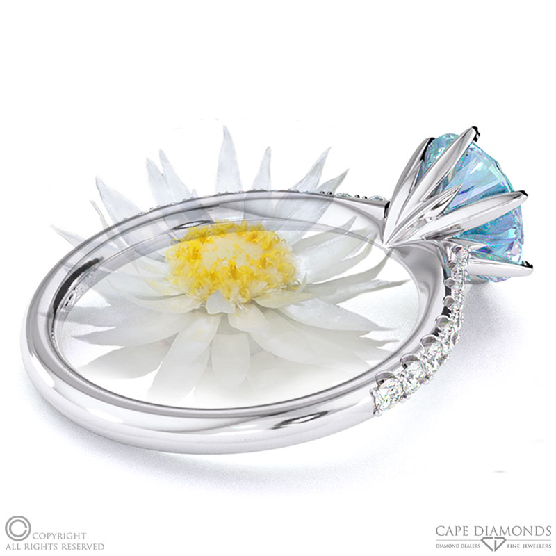 Everlasting Flower Fynbos Aquamarine Side Stone Engagement Ring White Gold