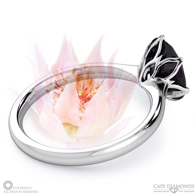 Blushing Bride Fynbos Black Lab Grown Diamond Oval Solitaire Engagement Ring White Gold