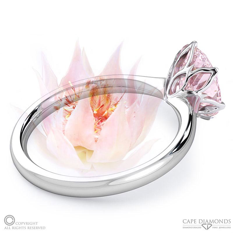 Blushing Bride Fynbos Morganite Oval Solitaire Engagement Ring White Gold