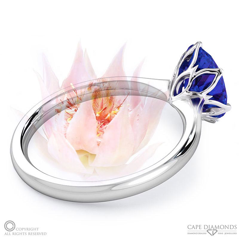 Blushing Bride Fynbos Tanzanite Oval Solitaire Engagement Ring White Gold