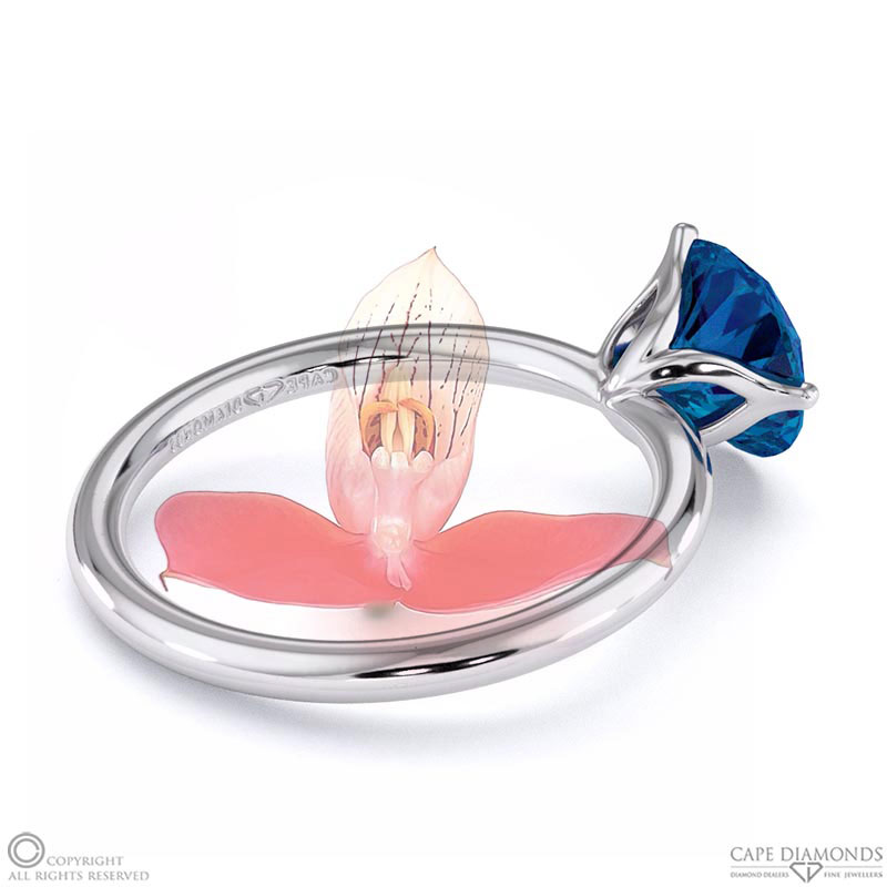 Disa Orchid Fynbos Sapphire Solitaire Engagement Ring White Gold