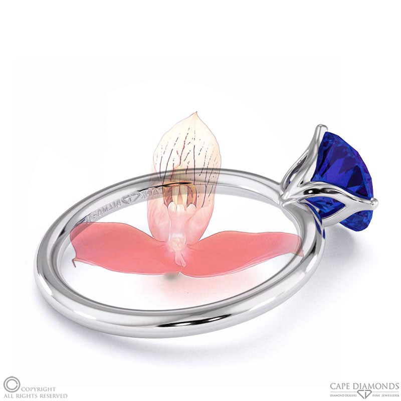 Disa Orchid Fynbos Tanzanite Solitaire Engagement Ring White Gold