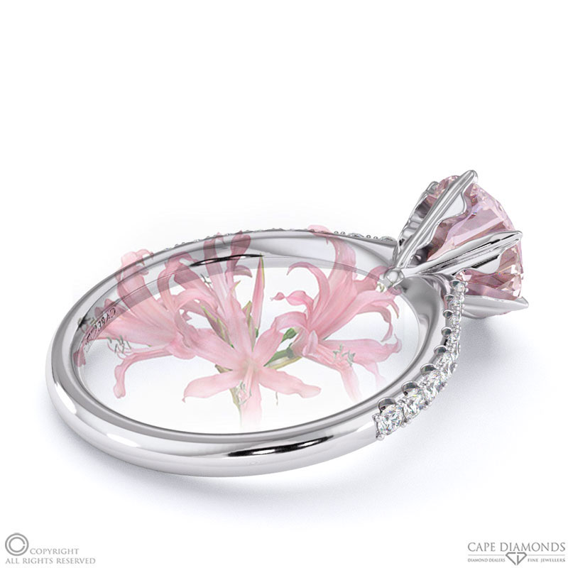 Nerine Queen Fynbos Morganite Side Stone Engagement Ring White Gold